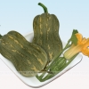 Bí Đỏ Hạt Đậu - AD 019